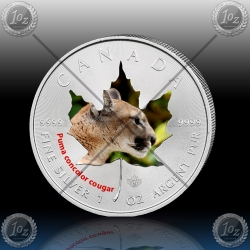 1oz KANADA $5 Maple Leaf 2014 "PUMA" BARVNI 1oz KANADA $5 Maple Leaf 2014 "PUMA" BARVNI